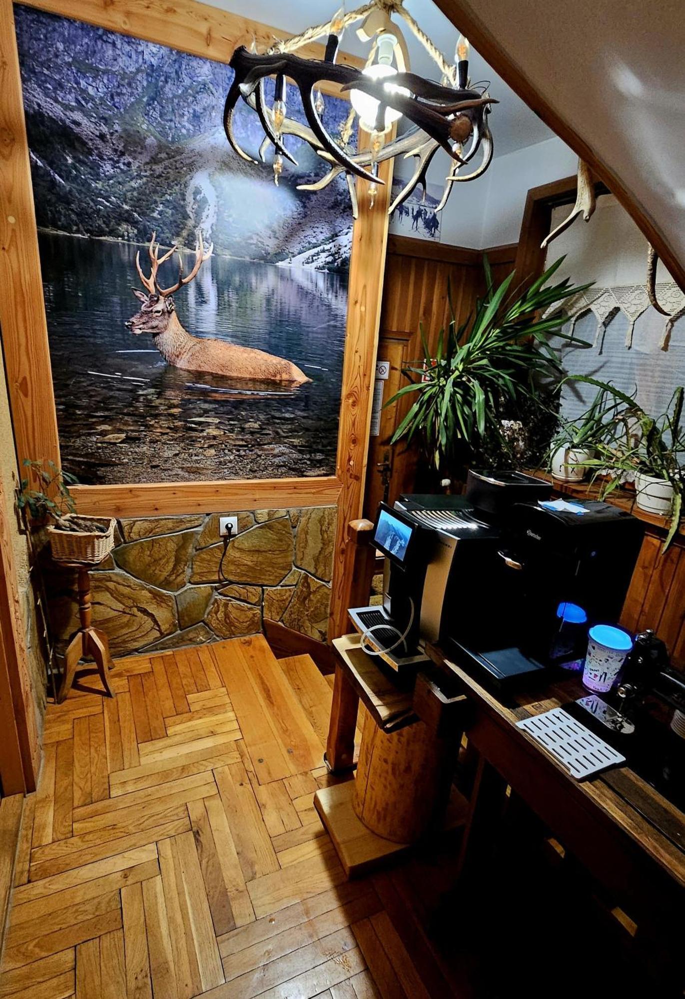 Apartament Rykowisko - Zakopane — Zdjęcia 3